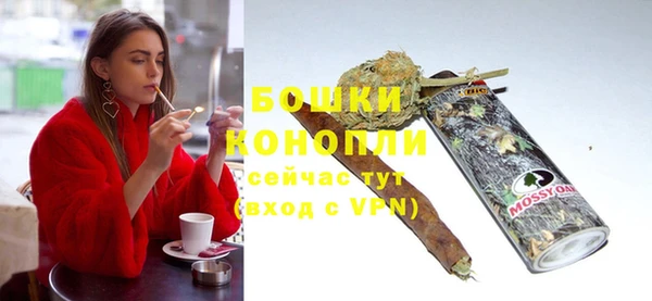 молекула духа Богородицк