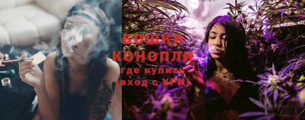 дживик Верхний Тагил